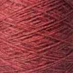 AUTUMN RED - 5