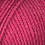RASPBERRY - 10